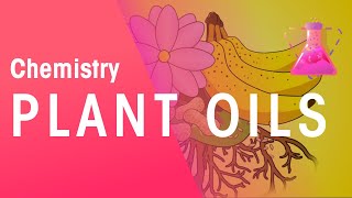 The Extraction Of Plant Oils  Organic Chemistry  Chemistry  FuseSchool [upl. by Anidene]