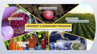 Sensients Agronomy Program [upl. by Babette263]