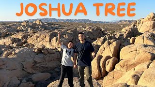 Joshua Tree  Climbing Rocks with Dad 2024 [upl. by Adnik]