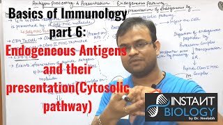 Immunology Part 6 Endogeneous pathway of Antigen processing and Presentation CYTOSOLIC PATHWAY [upl. by Elvyn264]