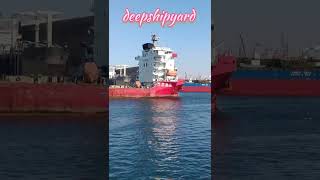 chinese ship 🚢 on the sea  ship assistance  ship along sidedeepshipyard007 [upl. by Hcardahs]