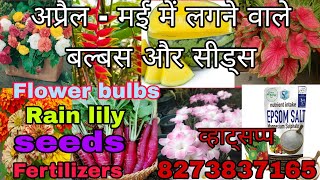 summer flower bulbs update video lily bulbs  rhyzomes and tuber seeds fertilizer [upl. by Mckenzie19]