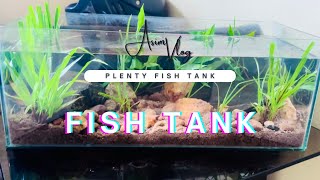 Simple plenty fish tank set up 🫶🏻  Fish tank  fish fishtank vlog asimsabkhan [upl. by Emilio]