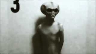 Real Grey Alien Footage Caught On Tape [upl. by Ulphi]