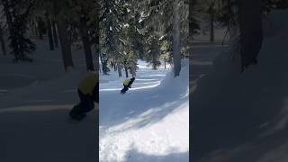 Super Sick Ski Line Through Trees [upl. by Kantos733]