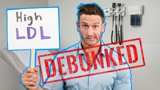 HDL vs LDL  What are the Differences [upl. by Naillij]