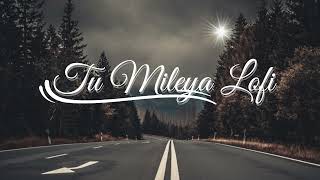 Tu Mileya Lofi 🥀 Music Creations🎵 [upl. by Gildas]