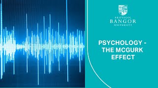 The McGurk Effect Psychology [upl. by Htebiram]