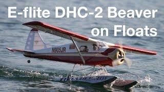 EFlite DHC2 BEAVER on Floats [upl. by Odrude324]