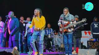 Alick Macheso Latest Song Yakaita mafans waya  Siyanai naye Macheso Hit Song Coming Soon🔥🔥🎸 [upl. by Hgeilyak967]