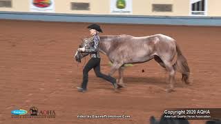 2020 AQHA Showmanship [upl. by Driscoll901]