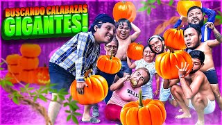 🔥BUSCANDO CALABAZAS GIGANTES CON EL CREW 🔥 [upl. by Nytsua]