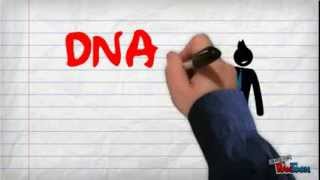 الأحماض النووية DNA and RNA [upl. by Cassandre]