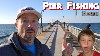 PIER Fishing Destin FL livefish Fishing saltwater [upl. by Odlauso]