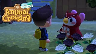 EUFEMIA amp DAS RAUMSCHIFF • 357 🏝️ Lets Play Animal Crossing New Horizons GERMANDEUTSCH [upl. by Eiclehc]