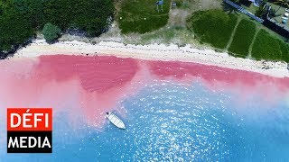 BlueBay  La mer rouge vue du ciel [upl. by Janyte]