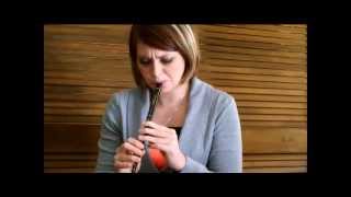 Penny Whistle Lesson 1Key of D [upl. by Lrak]