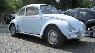 1967 Volkswagen Beetle Start Up Exhaust and In Depth Tour [upl. by Anaitak]