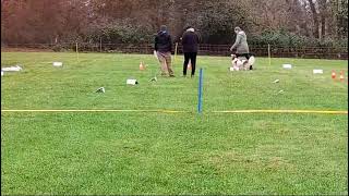 Rally Obedience Turnier beim SG OV Baiersdorf [upl. by Fania]