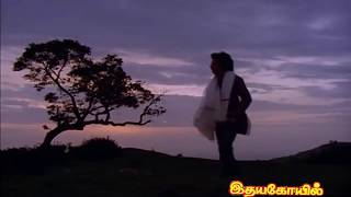 Idaya KovilVaanuyarntha Solaiyilevideo songs [upl. by Assirram552]