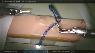 0 Duramesh Mesh Suture manipulated and tied using the DaVinci robot [upl. by Bannerman421]