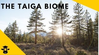 The Taiga Boreal ForestBiomes of the World [upl. by Kaazi631]