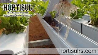 Hortisul  Estufas Agrícolas e Sistemas Hidropônicos [upl. by Romain108]