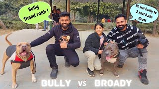 15 street dogs🐕 ne gher lia Bully aur Broady ko  🙈 Collab with HarpreetSDC Part 2 [upl. by Inal]