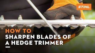 How to sharpen the blades of a hedge trimmer  STIHL [upl. by Arodnahs]