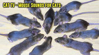 CAT TV  Videos for Cats to Watch Mouse Sounds for Cats  Cat Game [upl. by Reggi979]