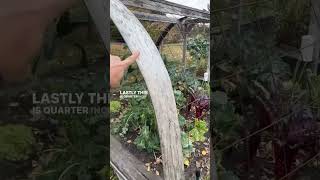 How to Build a Raised Bed Greenhouse [upl. by Alyac863]