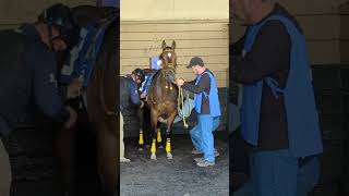 Remington Park  Oklahoma [upl. by Ahsimrac]