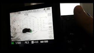 Tamron 150  600 G2 Focus Tracking on Sony A77ii [upl. by Anitsrik922]