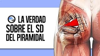 La verdad anatomica del sindrome del piramidal [upl. by Nevetse]