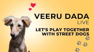 Veeru dada is live [upl. by Anawait810]