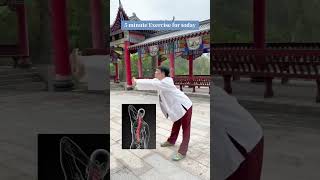 Strengthen lower back power and relieve pain TaiChi Taijiquan MartialArts TCM energywork [upl. by Gnik]