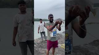 കടലിലെ സ്വർണമത്സ്യം വീശുവലയിൽ കേറിയപ്പോൾ youtubeshorts fishing shorts viralshorts [upl. by Strephon]