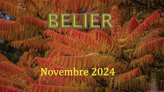 BELIER  Novembre 2024  Un entourage soutenant [upl. by Nosydam364]