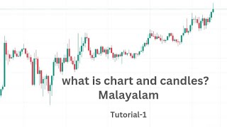 Crypto Trading Malayalam Chart introduction and candlestick [upl. by Alram424]