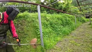 【 Mountain Hut 】 Grass cutting shindaiwa JPNRK3026PT254cc Chapter243 [upl. by Whalen]