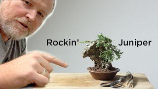 Bonsaify  Creating a Juniper Bonsai Rock Planting StepbyStep [upl. by Ulu]