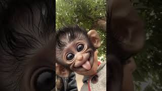 hiphop funny monkey cartoon effect trendingshortsvideo [upl. by Wivinah]