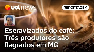 Escravizados do café Produtores de grupo exportador são flagrados em Minas [upl. by Llecrep380]