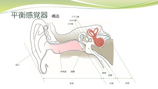 【臨床医学を知ろう】 めまい [upl. by Missie397]