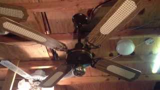 Loyal Spinner Ceiling Fan [upl. by Ilwain]