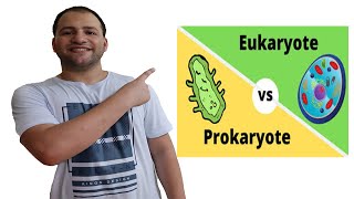 Prokaryotes and Eukaryotes comparison [upl. by Amand]