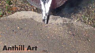 Casting a Bigger Fire Ant Colony with Molten Aluminum Cast 057 [upl. by Bathsheb]