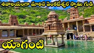 యాగంటి ఆలయ విశేషాలు  Yaganti temple full history [upl. by Yevreh]