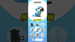 Bagaimana jika Macaw x Gerhana Matahari shorts short youtubeshorts animash animals games [upl. by Graces]