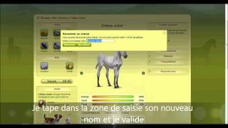 Changer le nom de son cheval  Equideow [upl. by Nrubloc]